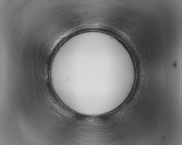 X0000116151218200912141149