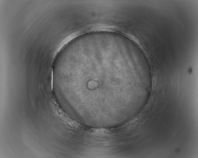 X0000116151219200912141149