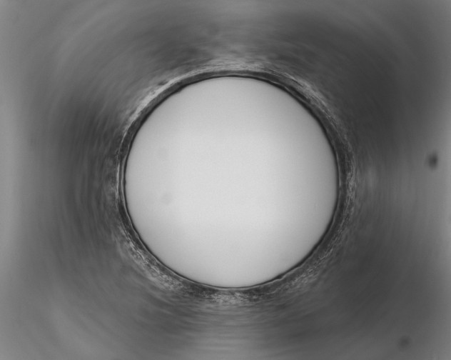 X0000116151220200912141149