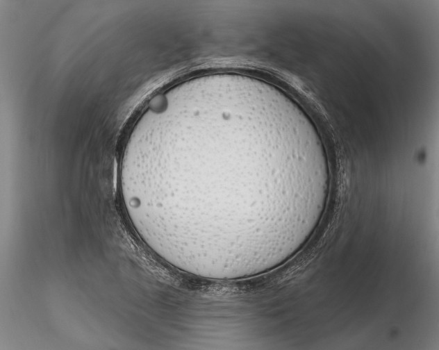 X0000116151221200912141149