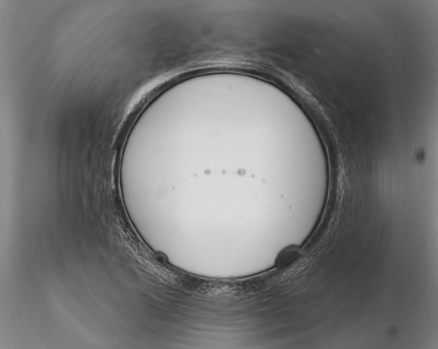 X0000116151222200912141149