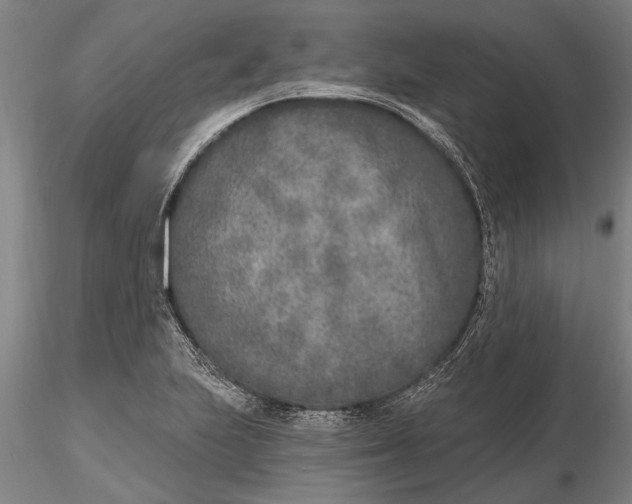 X0000116151223200912141149