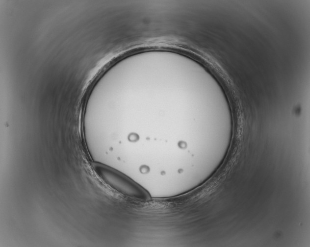 X0000116151224200912141149