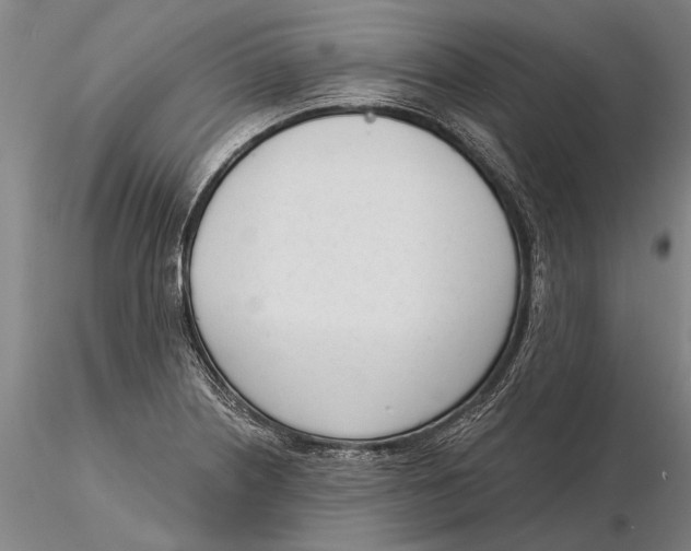 X0000116151226200912141149