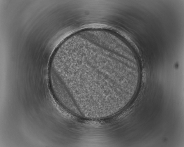 X0000116151229200912141149