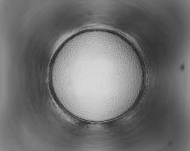 X0000116151231200912141149