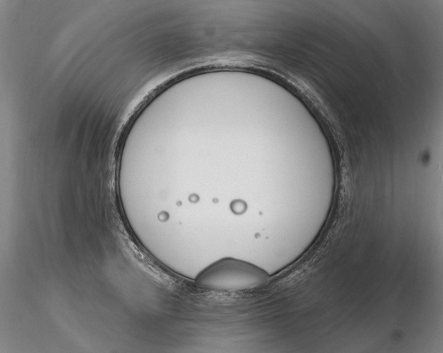 X0000116151232200912141149