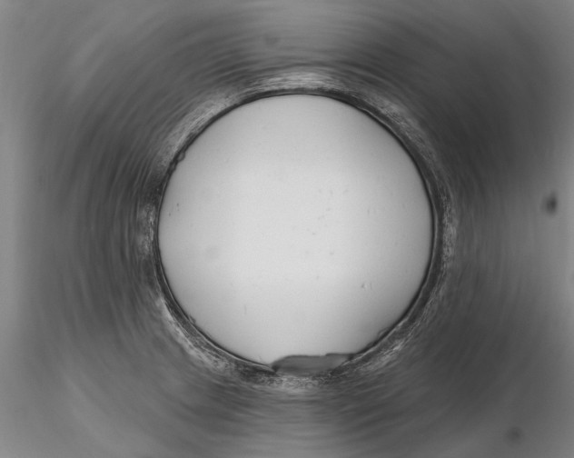 X0000116151233200912141149