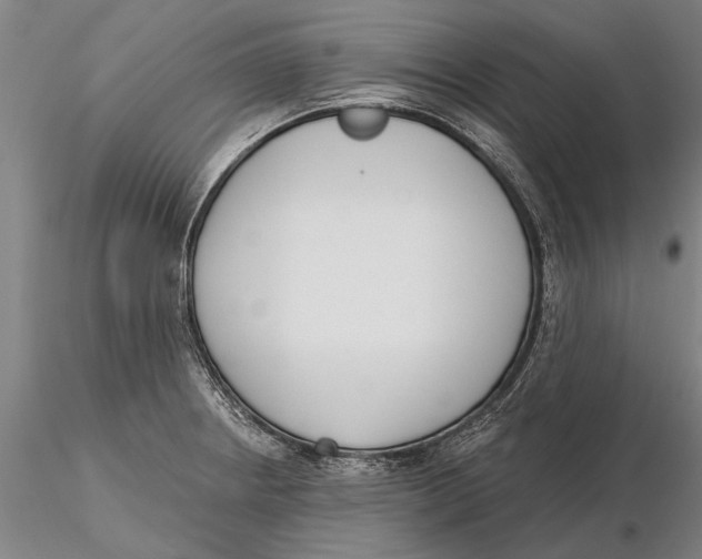 X0000116151234200912141149