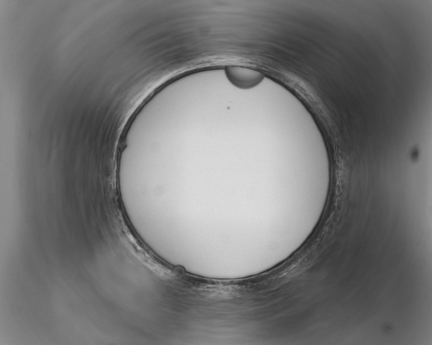 X0000116151236200912141149