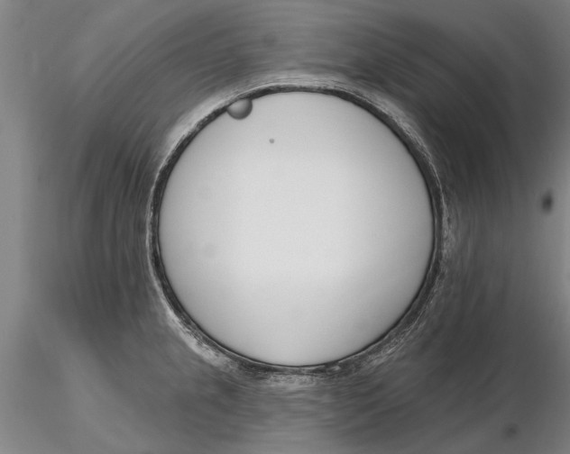 X0000116151237200912141149