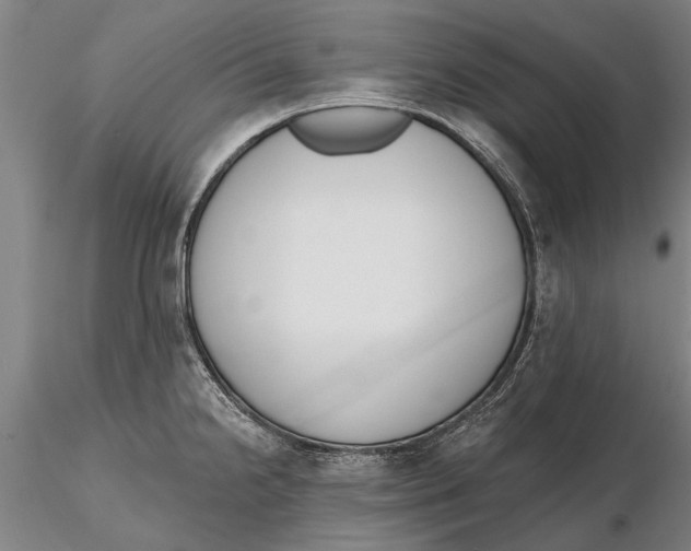 X0000116151238200912141149