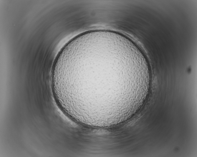 X0000116151239200912141149