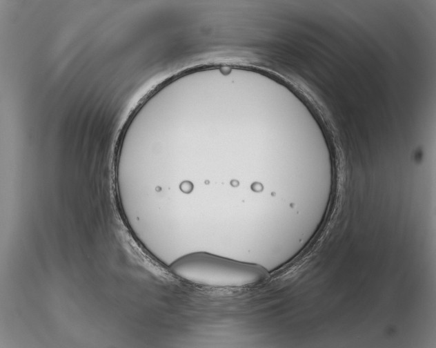 X0000116151240200912141149