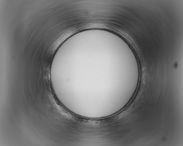 X0000116151241200912141149