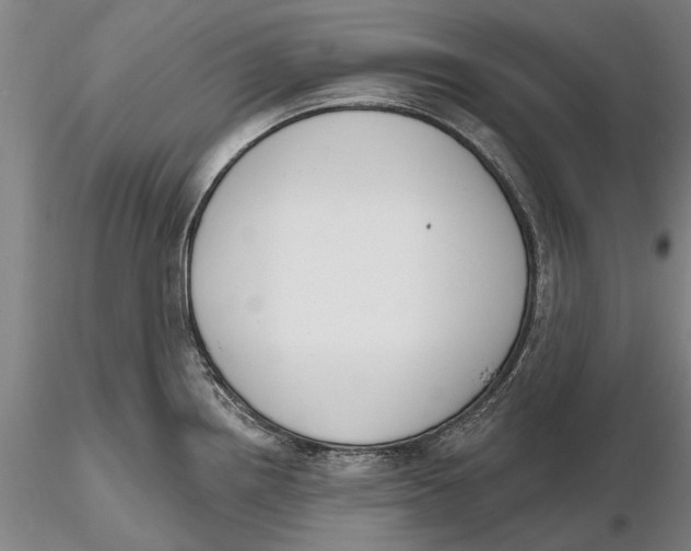 X0000116151242200912141149