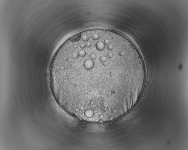 X0000116151243200912141149