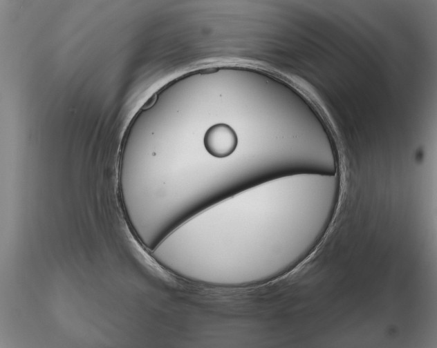 X0000116151244200912141149