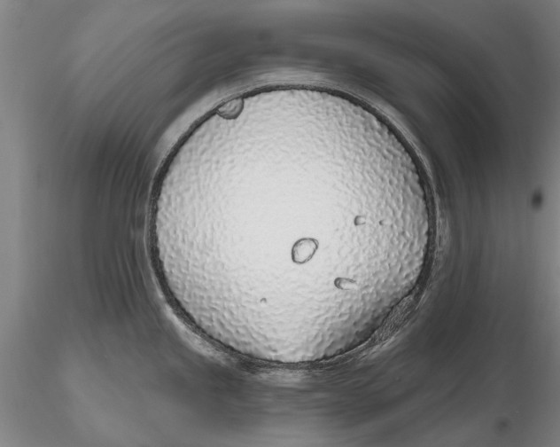 X0000116151245200912141150