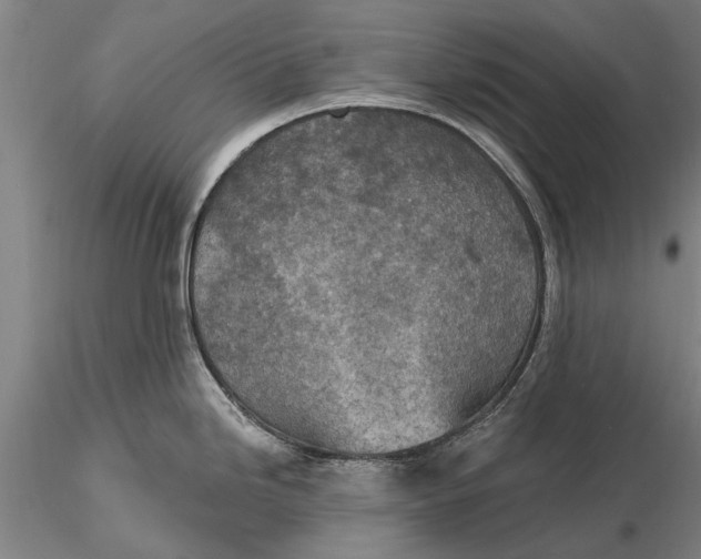 X0000116151246200912141150