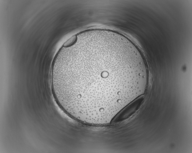 X0000116151247200912141150