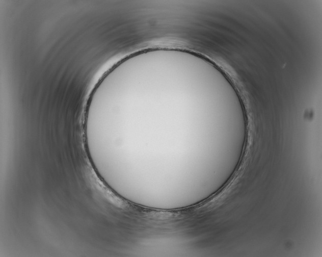 X0000116151248200912141150