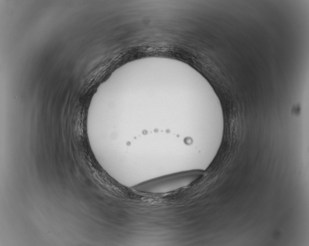 X0000116151250200912141149