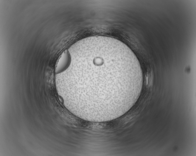 X0000116151251200912141149