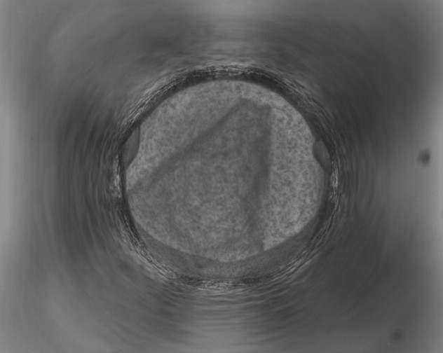 X0000116151252200912141149