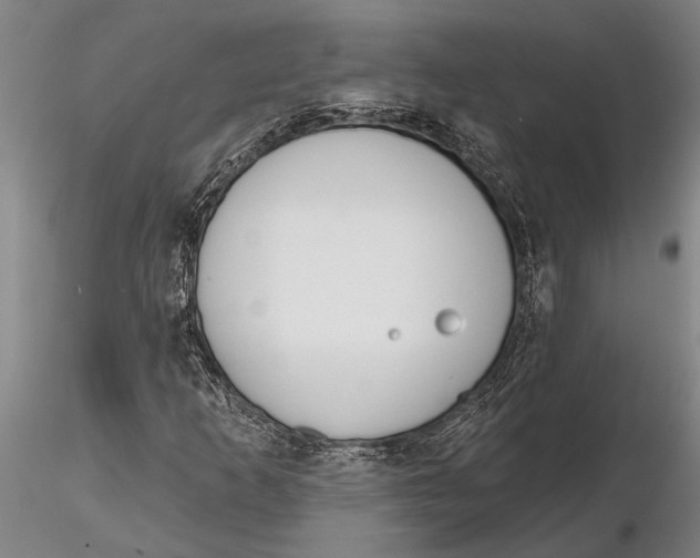 X0000116151253200912141149