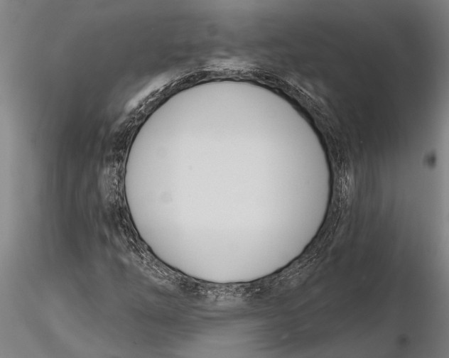 X0000116151254200912141149