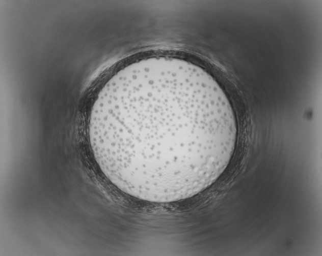 X0000116151255200912141149