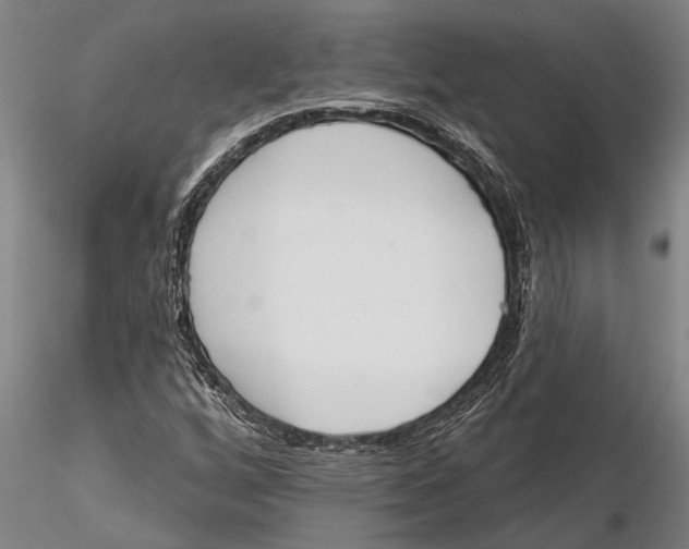 X0000116151256200912141149