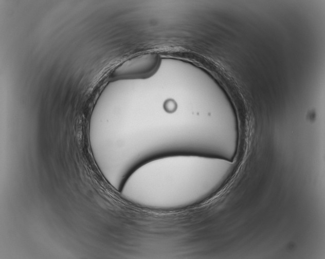 X0000116151257200912141149