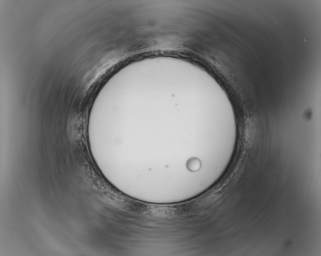 X0000116151258200912141149