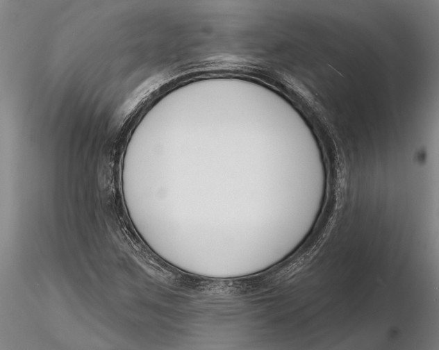 X0000116151259200912141149