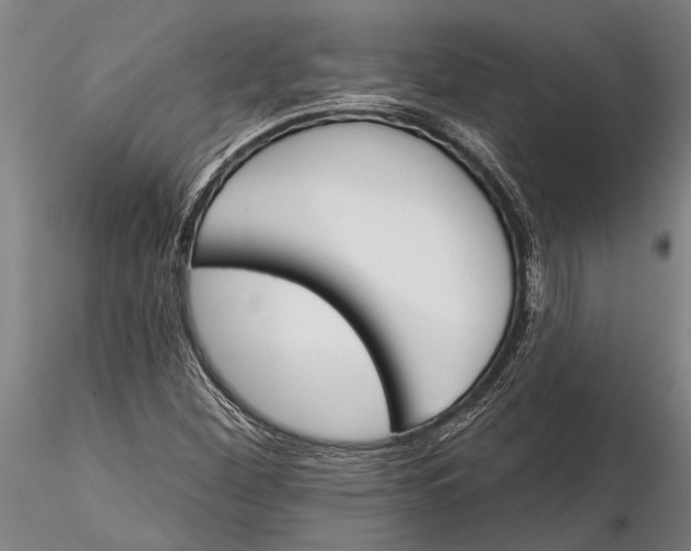 X0000116151260200912141149