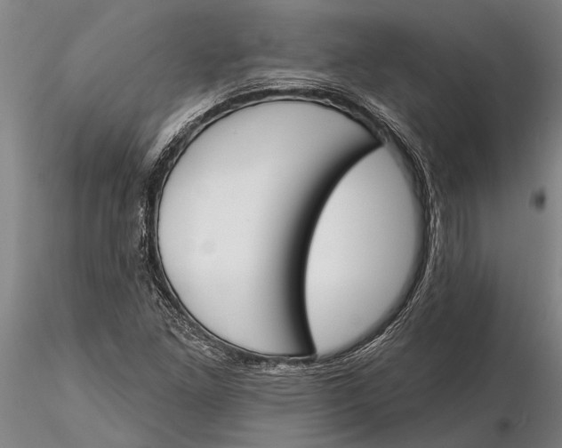 X0000116151261200912141149