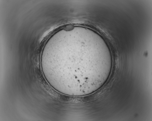 X0000116151262200912141149