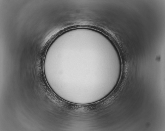 X0000116151263200912141149