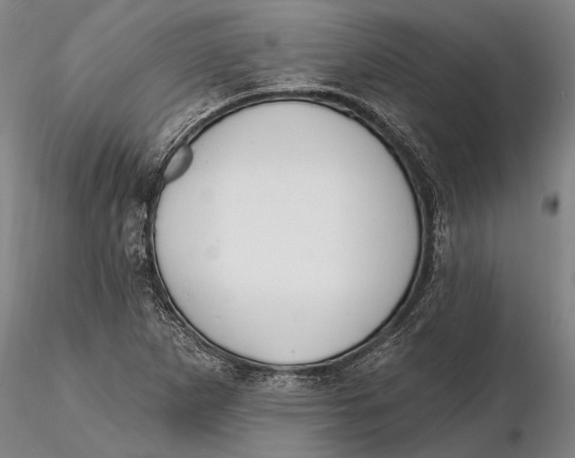 X0000116151265200912141149