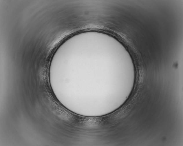 X0000116151266200912141149