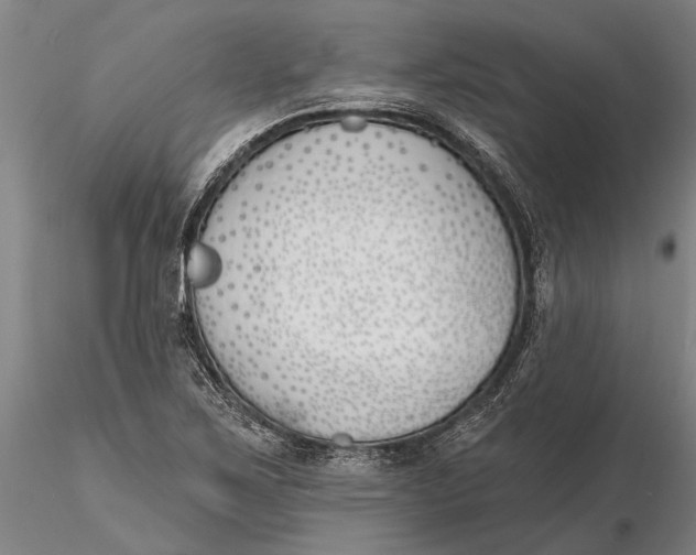 X0000116151267200912141149