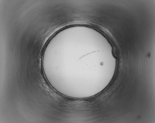 X0000116151268200912141149