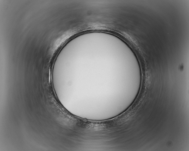 X0000116151269200912141149