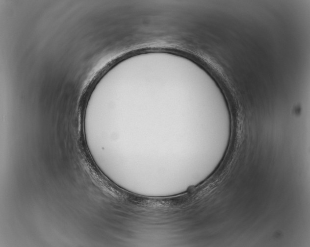 X0000116151270200912141149