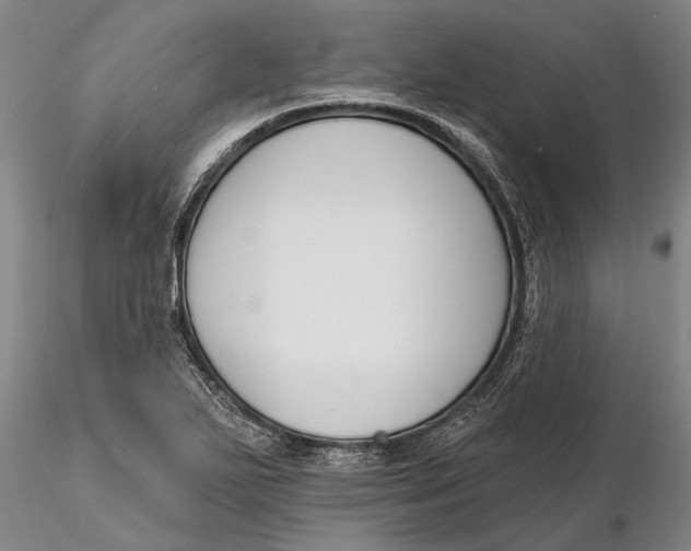 X0000116151271200912141149