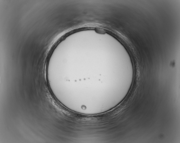 X0000116151272200912141149