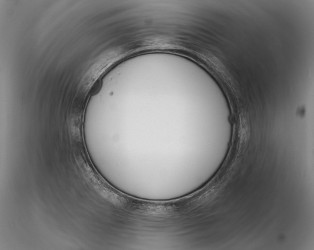 X0000116151273200912141149