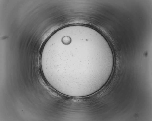 X0000116151274200912141149